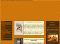 pilarrojas.com