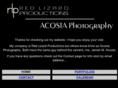 redlizardproductions.com
