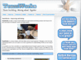 teamworks-sa.com