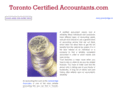 torontocertifiedaccountants.com