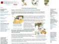desertec-asia.com