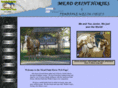 meadpainthorses.com
