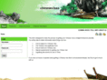 chinesevisas.org