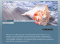mycapecodescape.net