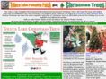 tolucalake-pumpkins-christmastrees.com
