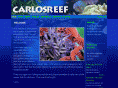 carlosreef.com