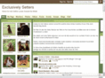 exclusivelysetters.com