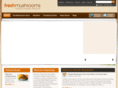 mushroominfo.com