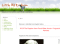 lbfenglishsetters.com