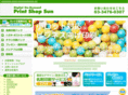 p-sun.co.jp