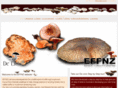 effnz.com
