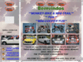 mini-cooper1.com