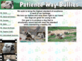 patiencewaybullies.com