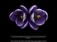 violetteimaging.com