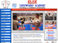 morrissettetaekwondo.com