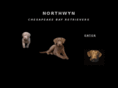 northwynchesapeakes.com