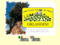 oliorlandini.com