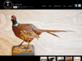 trephin.com