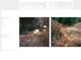 catharinestebbins.com