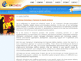 cmiconsult.com