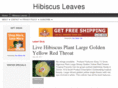 hibiscusleaves.com