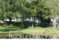 hockleymillfarm.com