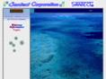 santect.com