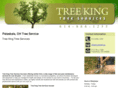 treeservicecentralohio.com