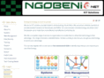 ngobeni.net