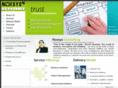 noesysconsulting.com