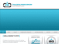 ppipower.com
