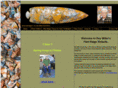 roymillerflintridge.com