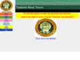 tadpoleboattours.com