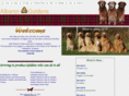 albanor.com