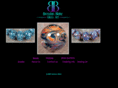 bbglassart.com