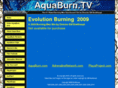 evolutionburning.com