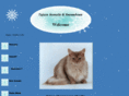 somali-cats.co.uk