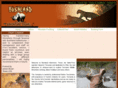 bushlandsafaris.com