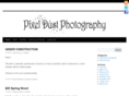 pixeldustcfl.com