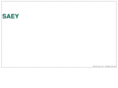 saey.com