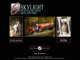 skylightphotography.com