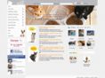 catwelfare.org