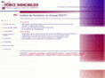 force-immobilier.com