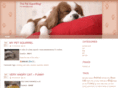 mycitypet.info