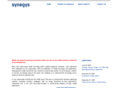 synegys.com