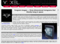 voxel.com