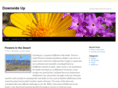 downsideup.net