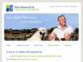 expertbackpainsolutions.com