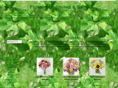 flowersunlimitedinc.com