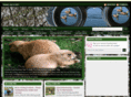 thehuntingguideonline.com